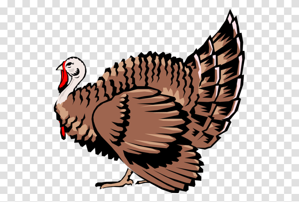 Quality Clip Art Of Animals That Live On A Farm Turkey My, Bird, Turkey Bird, Poultry, Fowl Transparent Png