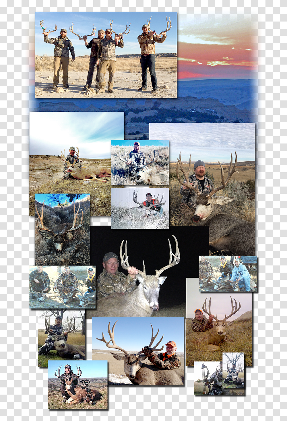 Quarter Caribou Hunting Collage, Person, Human, Antler, Poster Transparent Png
