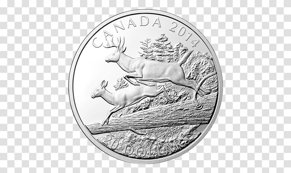 Quarter, Coin, Money, Silver, Horse Transparent Png