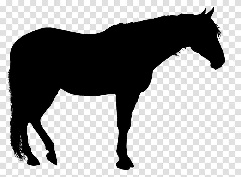 Quarter Horse Silhouette Clip Art Standing Horse Silhouette, Gray, World Of Warcraft Transparent Png