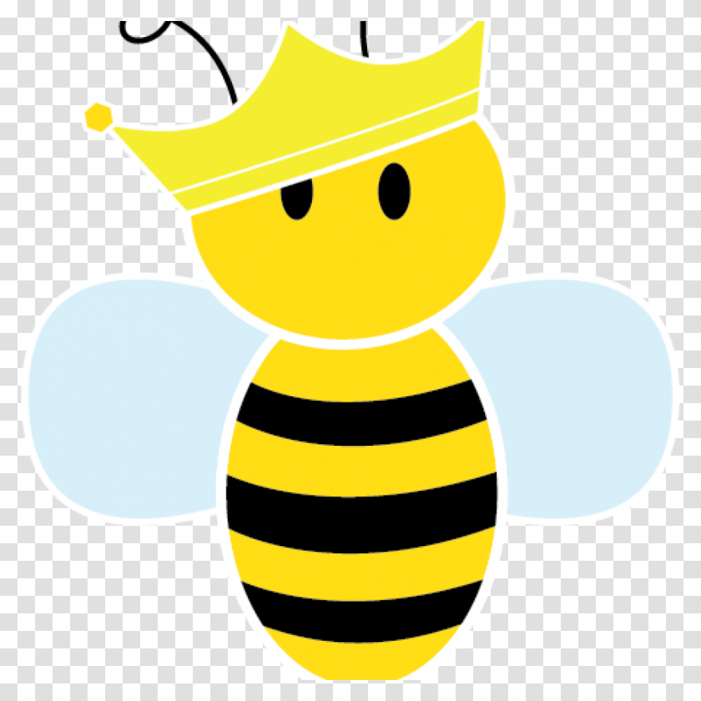 Queen Bee Clipart Cute Queen Bee Clipart Science Clipart Cute Bee Clipart, Animal, Invertebrate, Insect, Honey Bee Transparent Png