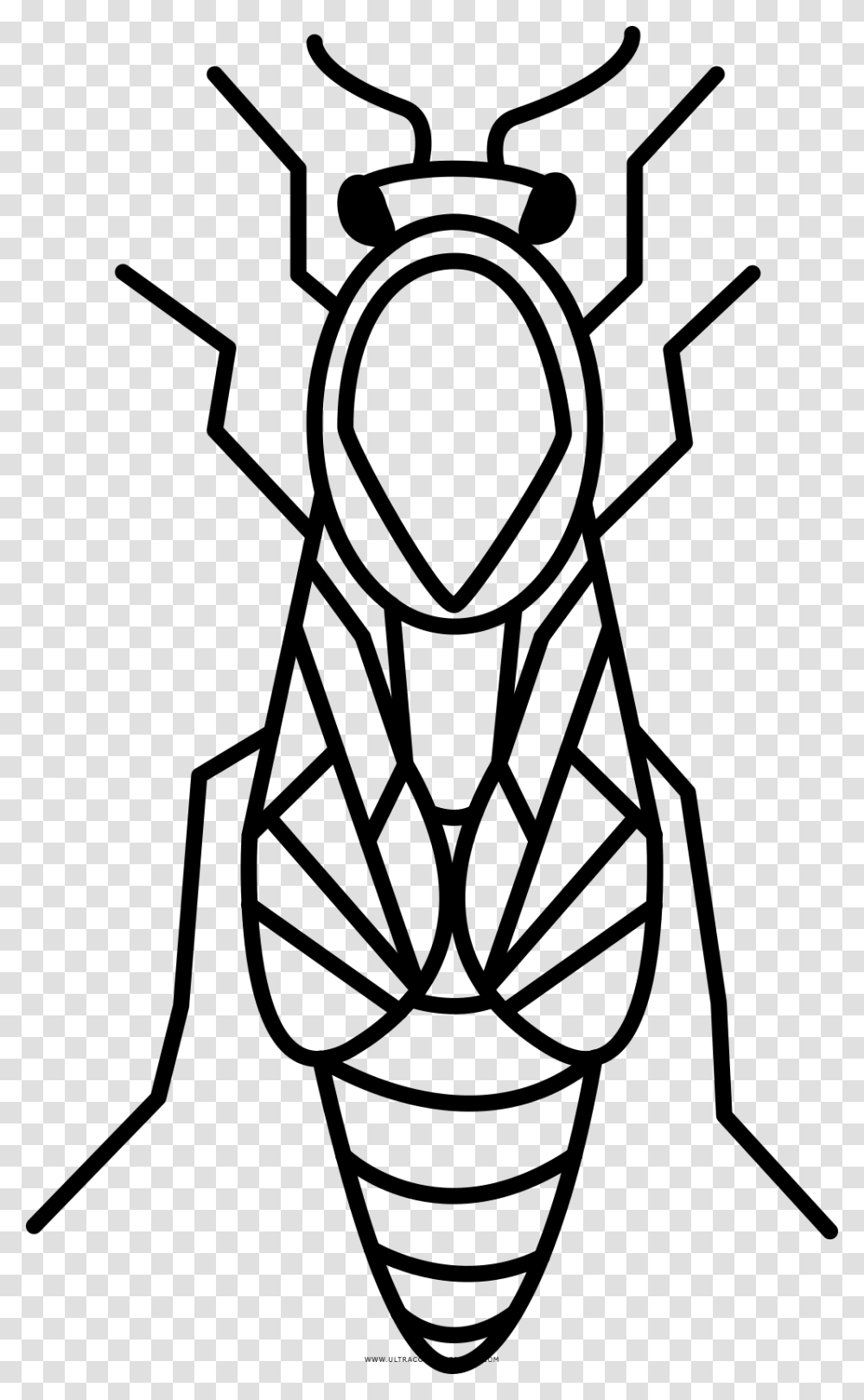 Queen Bee Coloring, Gray, World Of Warcraft Transparent Png