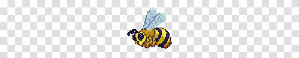 Queen Bee, Honey Bee, Insect, Invertebrate, Animal Transparent Png