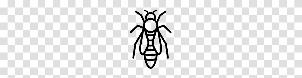 Queen Bee Icons Noun Project, Gray, World Of Warcraft Transparent Png