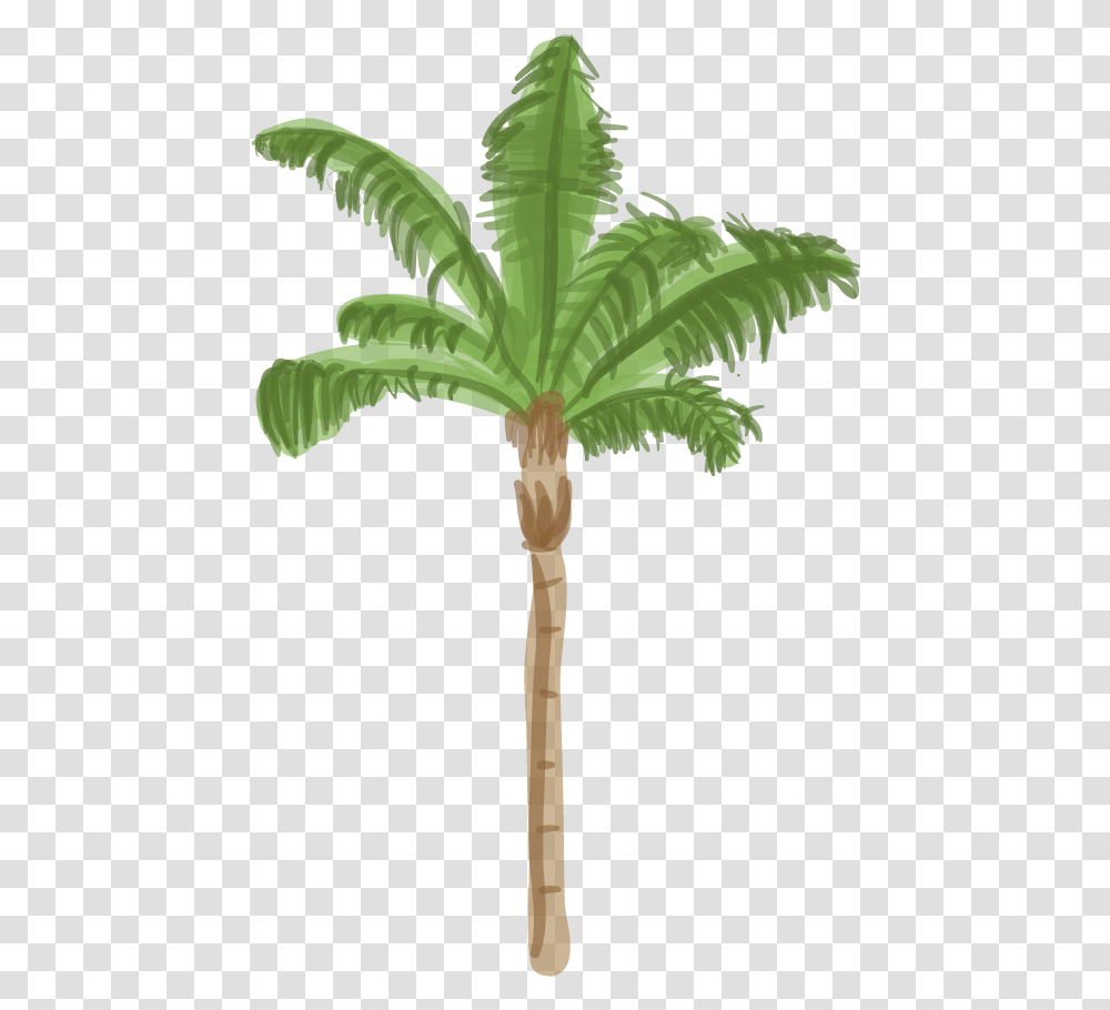 Queen Palm Tree Drawing, Plant, Arecaceae, Cross Transparent Png