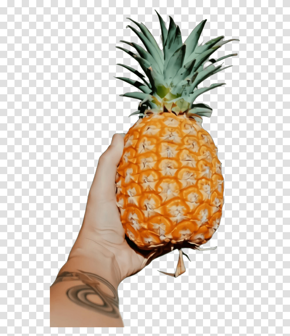 Queen Pineapple Image Pineapple, Plant, Fruit, Food, Person Transparent Png