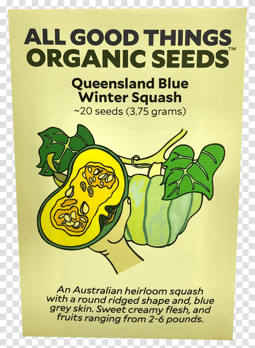 Queensland Blue Winter Squash Poster, Plant, Advertisement, Flyer, Paper Transparent Png