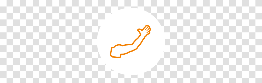 Queensland Combined Orthopaedic Specialists, Hand, Dynamite, Bomb, Weapon Transparent Png
