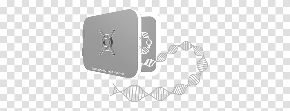 Queensland Parkinson's Project Horizontal, Electronics, Electrical Device, Switch Transparent Png