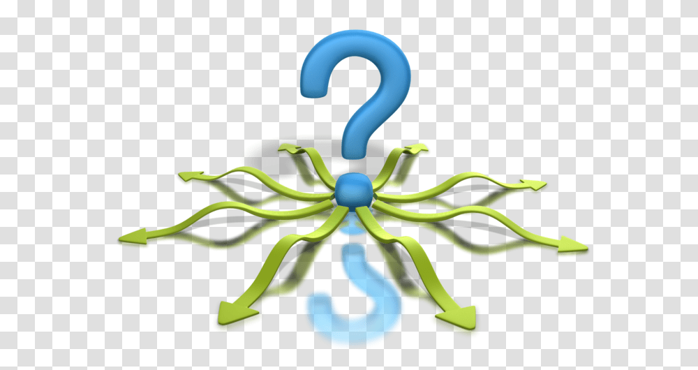 Questions For Your Business Networking Success, Animal, Hanger, Invertebrate Transparent Png
