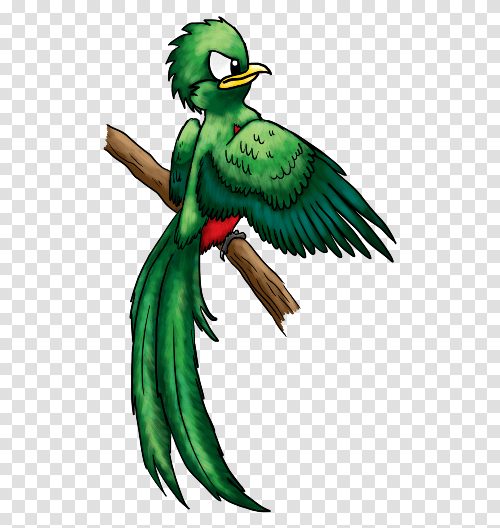 Quetzal Angry Birds Quetzal Bird Drawing, Animal, Macaw, Parrot Transparent Png