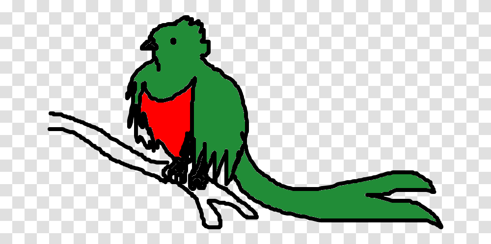 Quetzal Quetzal, Animal, Mammal, Person, Reptile Transparent Png