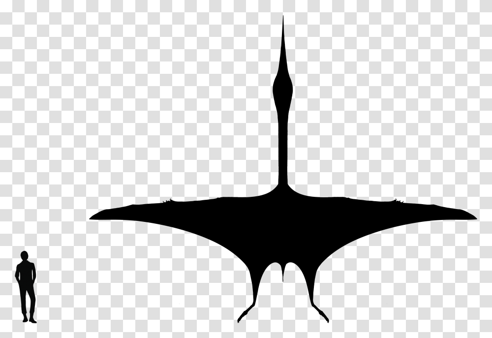 Quetzalcoatlus Silhouette, Gray, World Of Warcraft Transparent Png