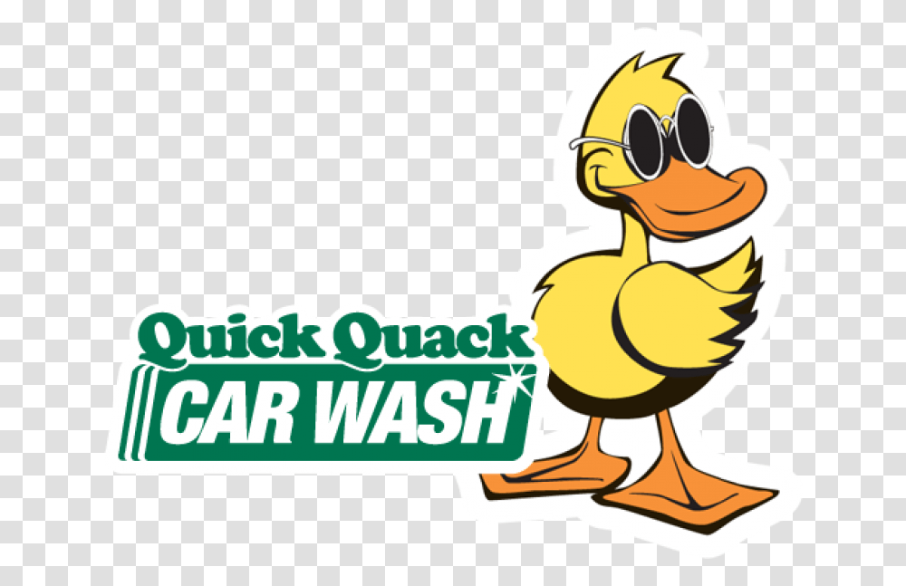 Quick Quack Car Wash Sticker Stop With Intern Kevin End Online, Bird, Animal, Poultry, Fowl Transparent Png