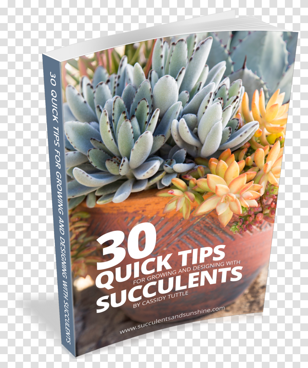 Quick Succulent Tips Agave, Poster, Advertisement, Flyer, Paper Transparent Png