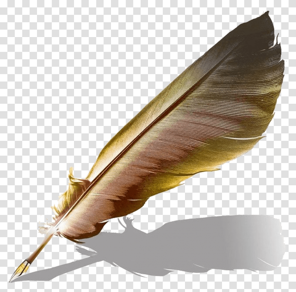 Quill And Ink Feather Ink Pen, Leaf, Plant, Animal, Slug Transparent Png