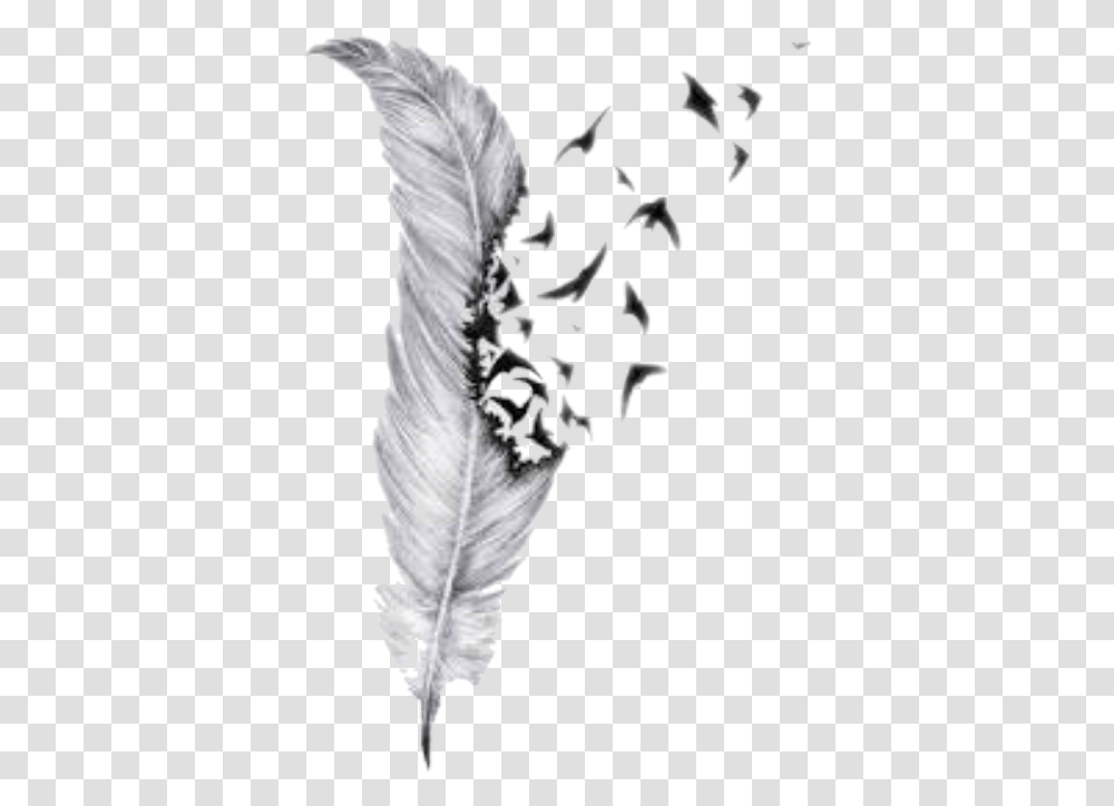 Quill Feather With Birds Tattoo Design, Plant, Flower, Petal, Pollen Transparent Png