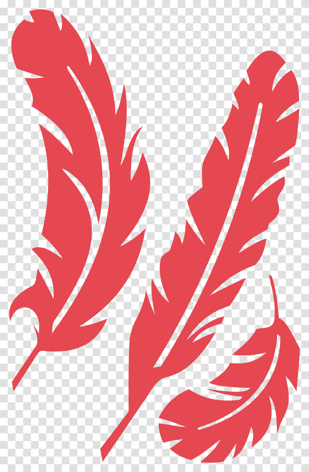 Quill Free Stock Red Feather Huge Freebie Download, Leaf, Plant, Maple Leaf, Poster Transparent Png