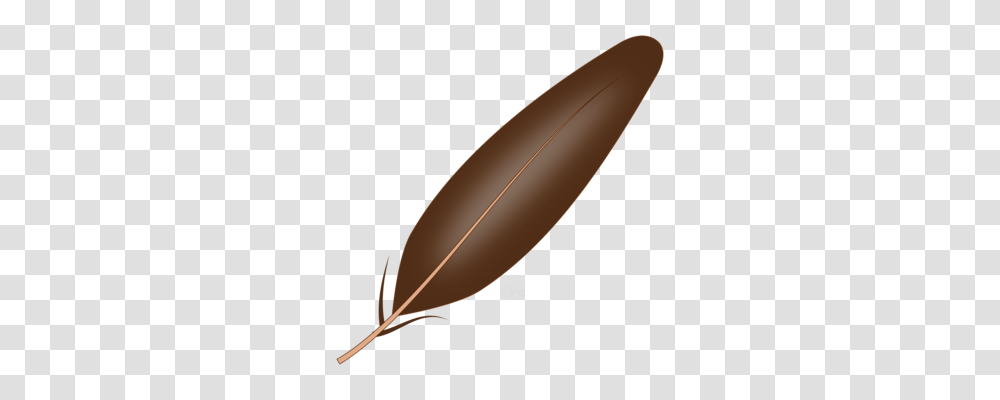 Quill Images Under Cc0 License, Leaf, Plant, Weapon, Weaponry Transparent Png