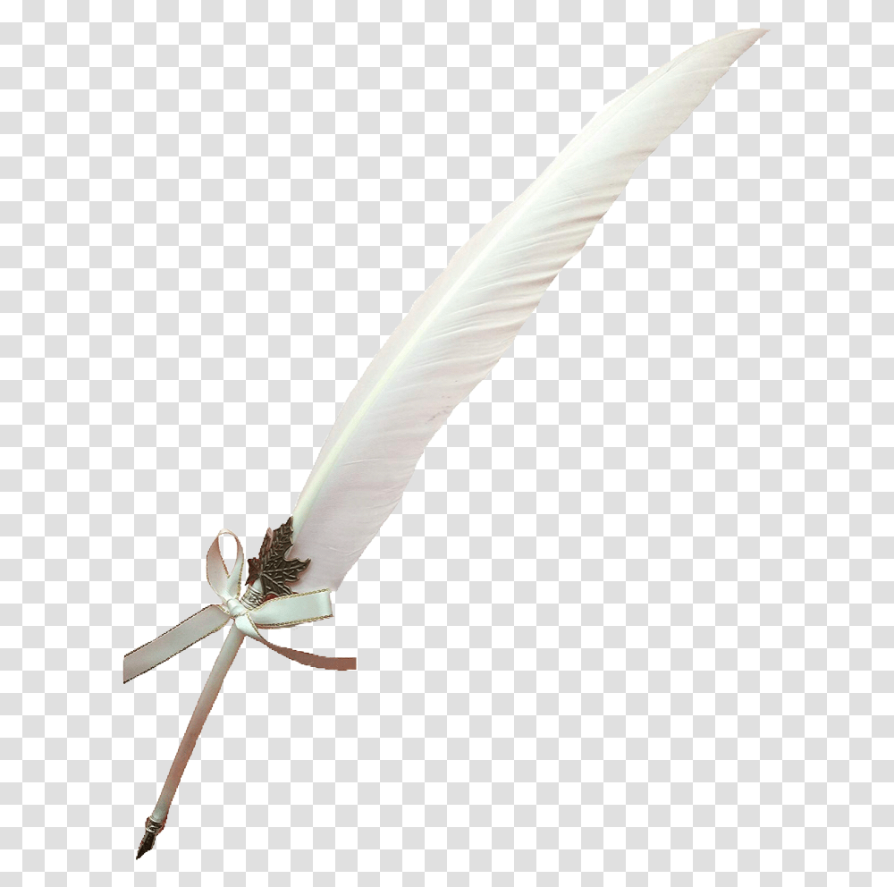 Quill Writing Feather White Pngs Cute Trendy Dragonfly, Plant, Pollen, Bird, Animal Transparent Png