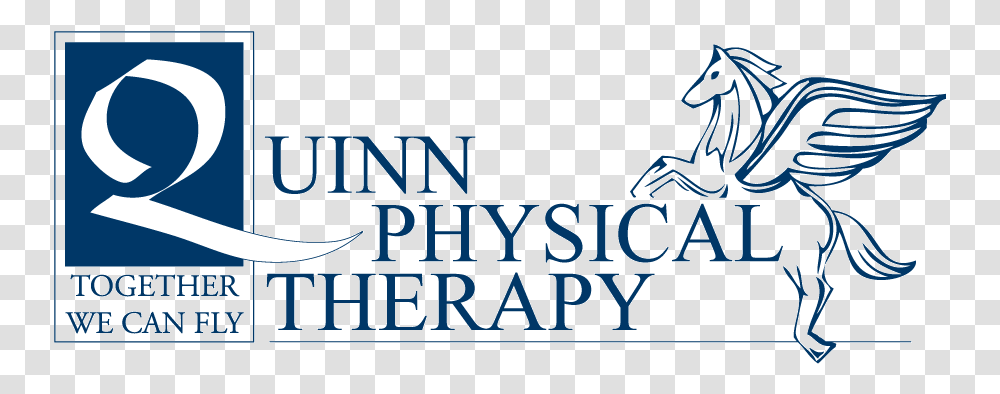 Quinn Physical Therapy Quinn Physical Therapy Logo, Text, Alphabet, Label, Word Transparent Png