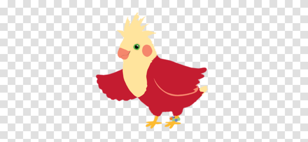 Quinn, Poultry, Fowl, Bird, Animal Transparent Png