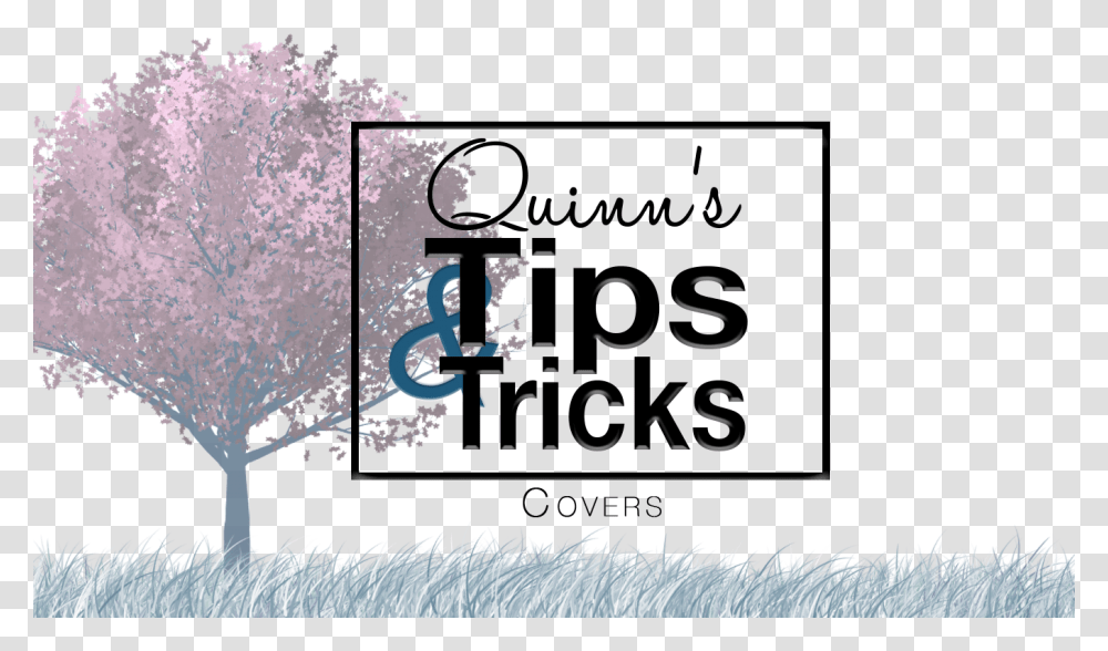 Quinn S Tips Amp Tricks Graphic Design, Outdoors, Nature, Flower Transparent Png