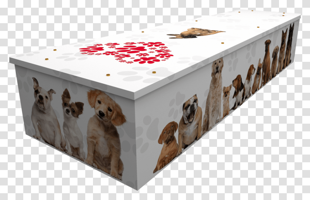 Quirky Coffin Designs Creative Coffin, Dog, Pet, Canine, Animal Transparent Png
