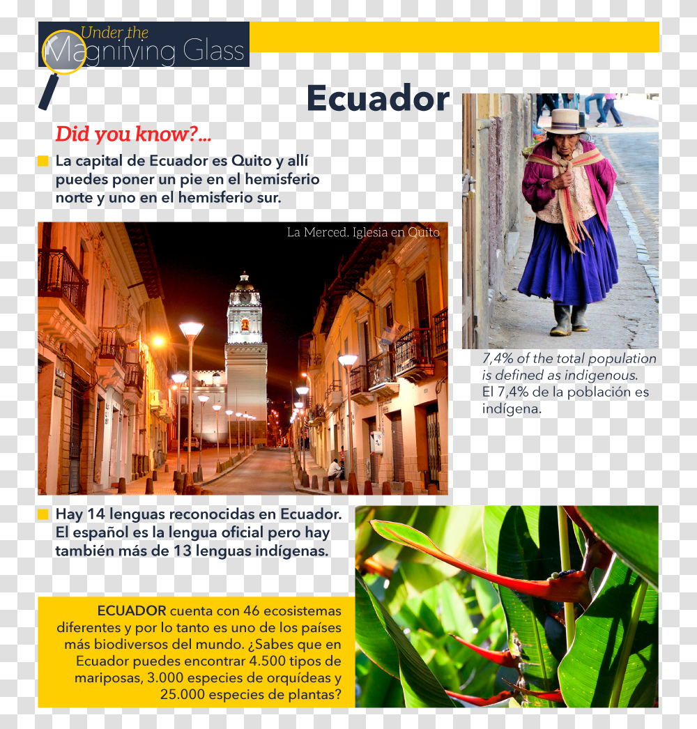 Quito, Advertisement, Poster, Flyer, Paper Transparent Png