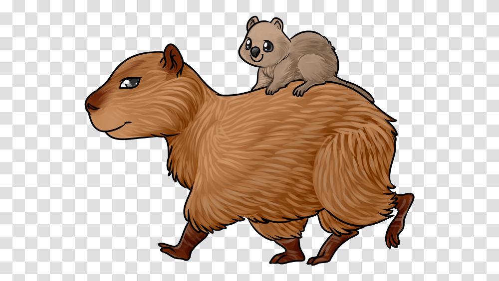 Quokka Capybara Easy To Draw, Mammal, Animal, Wildlife, Bird Transparent Png