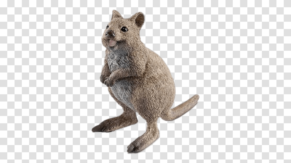 Quokka Figurine Schleich Rat, Animal, Mammal, Bear, Wildlife Transparent Png