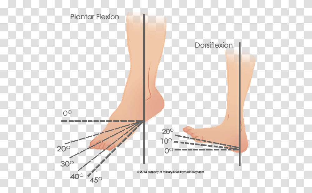 Quote Pngm Ankle Range Of Movement, Plot, Diagram, Plant Transparent Png