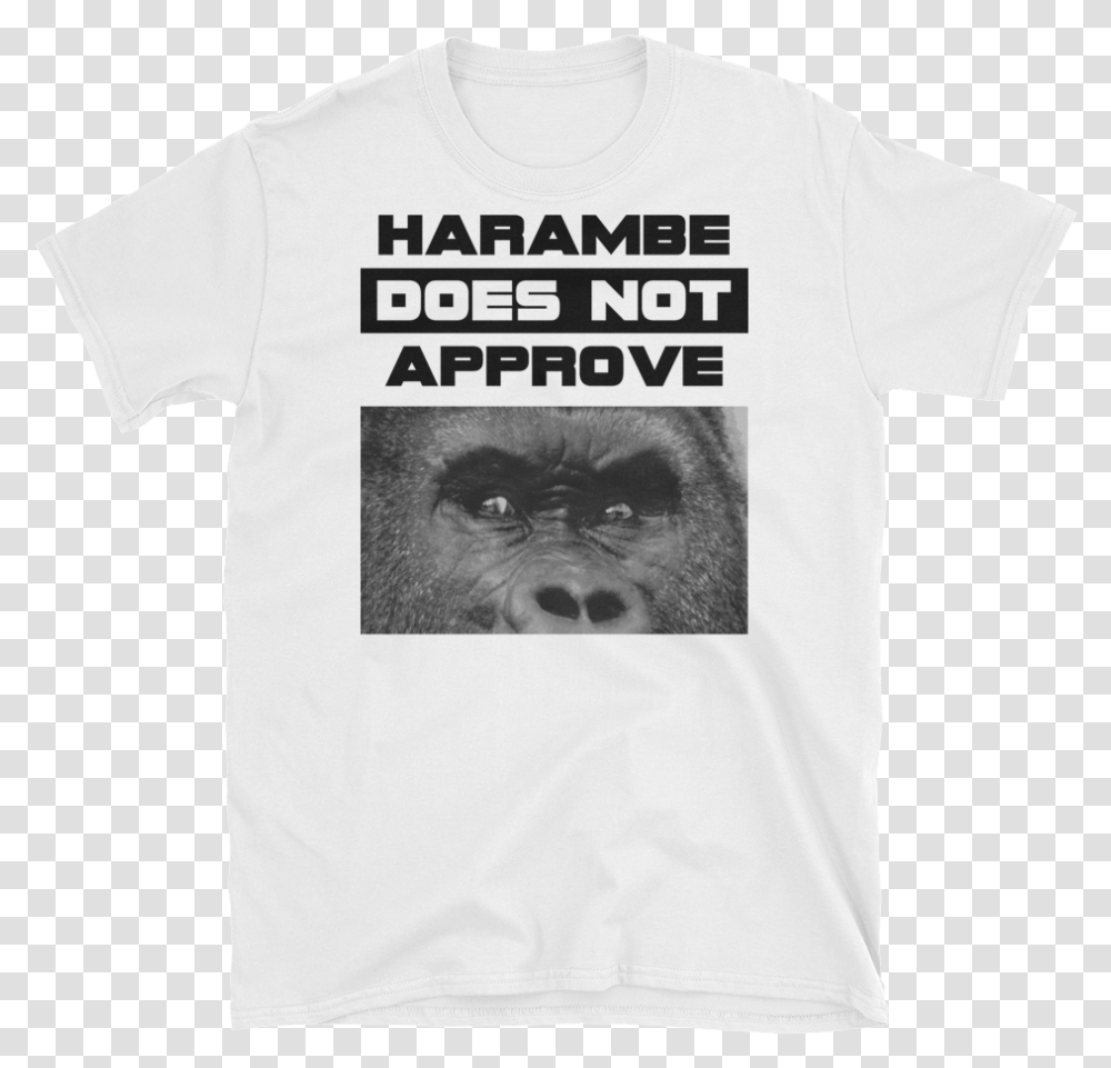 Quotharambe Does Not Approve Macaque, Apparel, T-Shirt Transparent Png