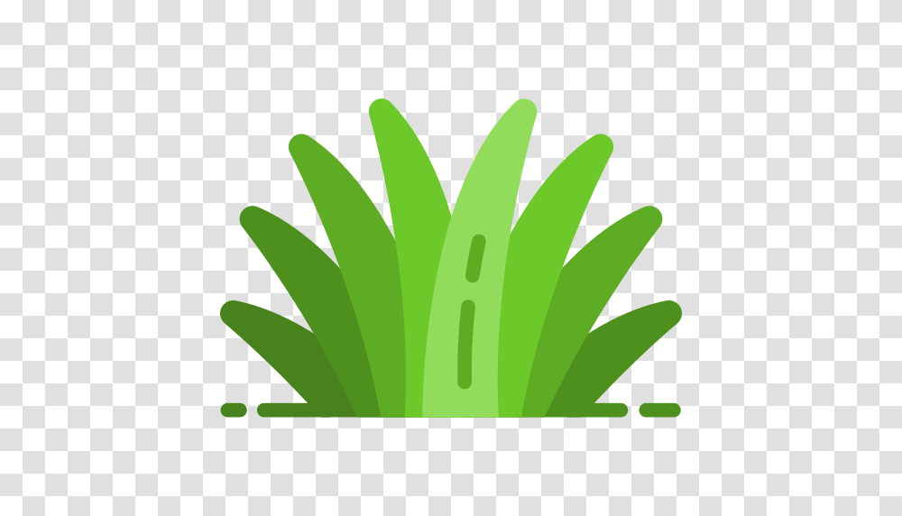 Quran Book Icon, Plant, Produce, Food, Vegetable Transparent Png