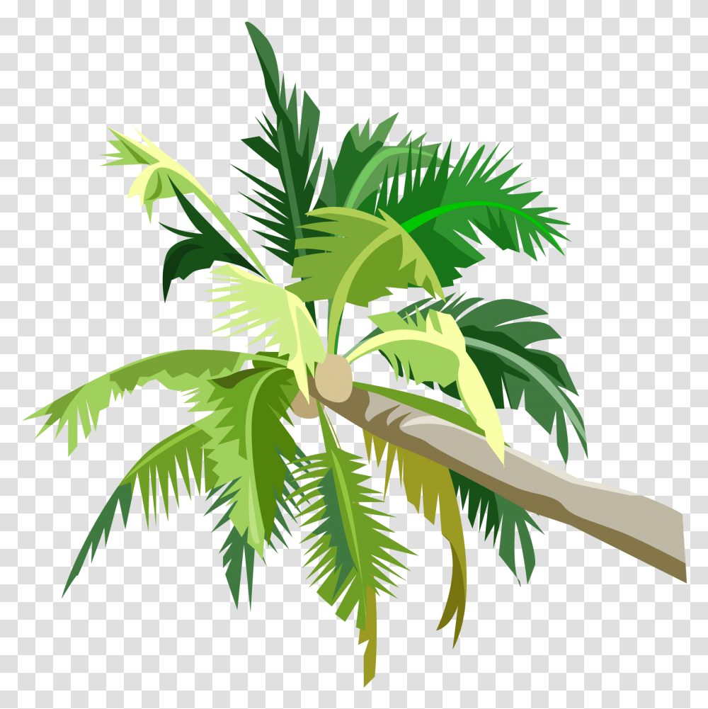 R 1232658842 Image V, Palm Tree, Plant, Arecaceae, Leaf Transparent Png