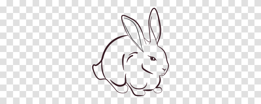 Rabbit Nature, Rodent, Mammal, Animal Transparent Png