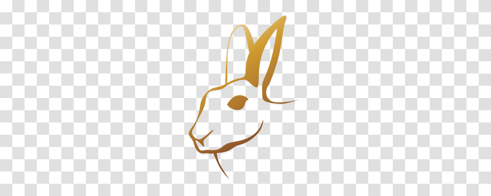 Rabbit Animals, Mammal, Deer, Wildlife Transparent Png