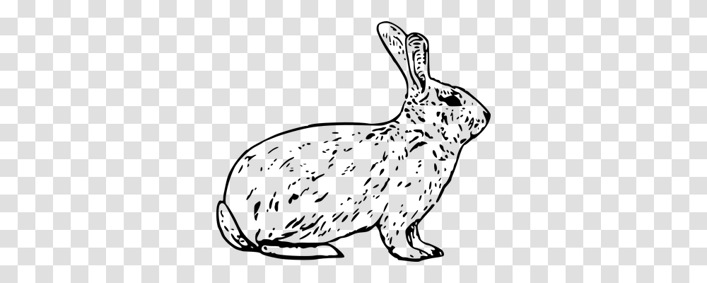 Rabbit Technology, Gray, World Of Warcraft Transparent Png