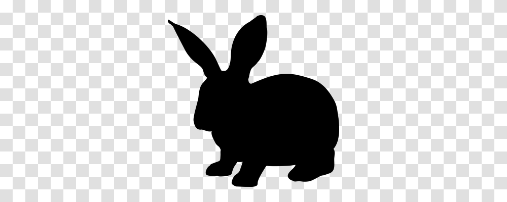 Rabbit Nature, Gray, World Of Warcraft Transparent Png