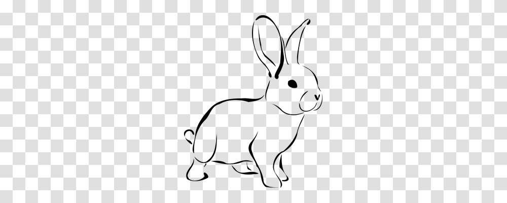 Rabbit Nature, Gray, World Of Warcraft Transparent Png