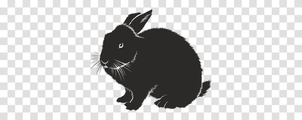 Rabbit Animals, Moon, Outer Space, Night Transparent Png