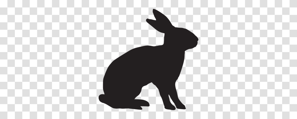 Rabbit Animals, Mammal, Kangaroo, Wallaby Transparent Png