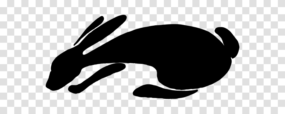 Rabbit Animals, Gray, World Of Warcraft Transparent Png