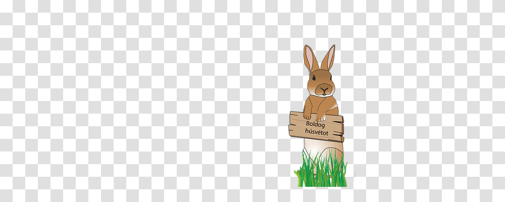 Rabbit Animals, Rodent, Mammal, Bunny Transparent Png