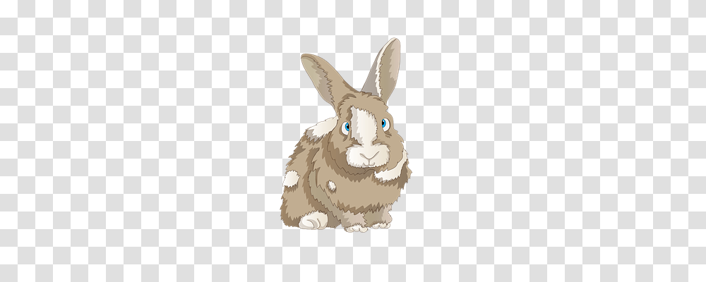 Rabbit Animals, Rodent, Mammal, Snowman Transparent Png