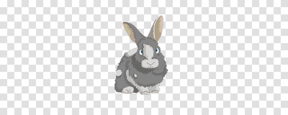 Rabbit Animals, Rodent, Mammal, Bunny Transparent Png