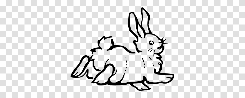 Rabbit Emotion, Gray, World Of Warcraft Transparent Png