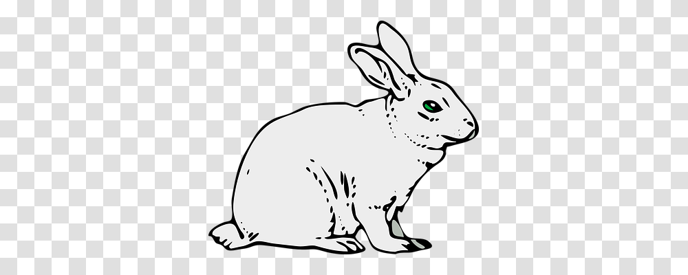 Rabbit Nature, Mammal, Animal, Rodent Transparent Png