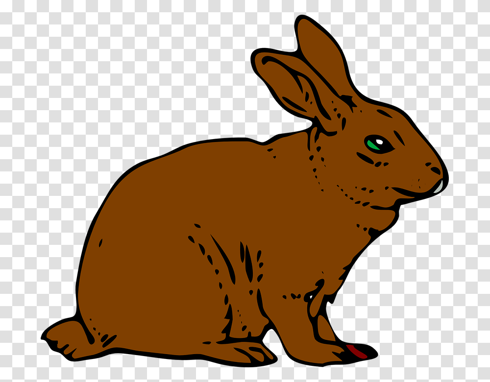 Rabbit Bunny Hare Brown Animal Khargosh Black And White, Rodent, Mammal Transparent Png