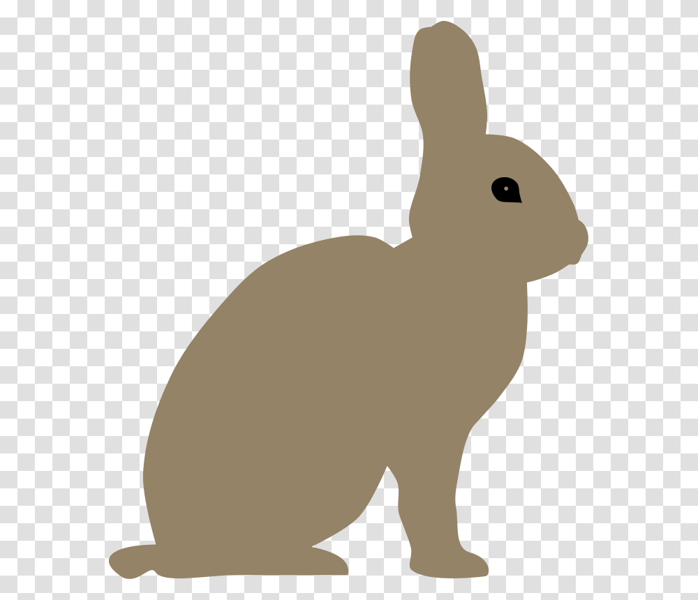 Rabbit By Rones, Animals, Rodent, Mammal, Bunny Transparent Png